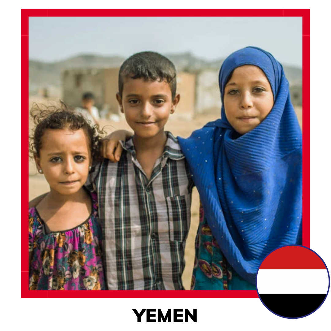 Qurban Yemen Sheep | Korban Kambing Yemen