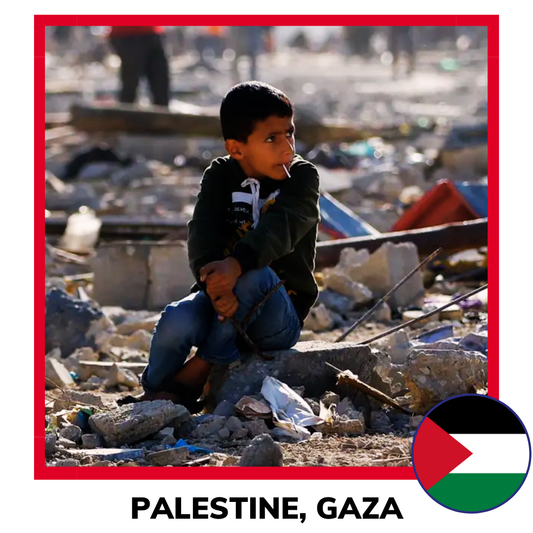 Qurban Palestine Sheep | Korban Kambing Gaza Palestine