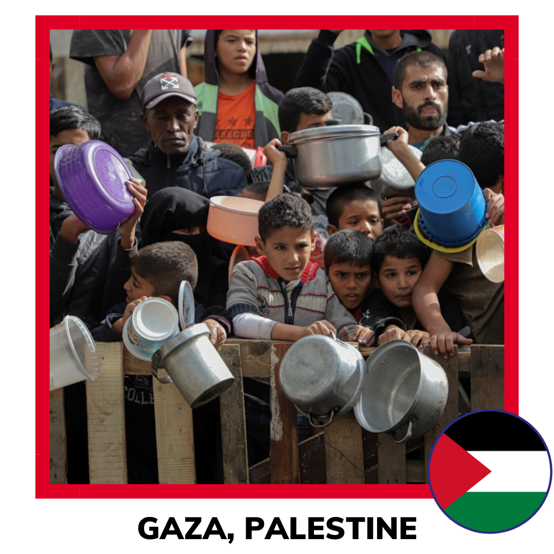 Qurban Palestine Sheep | Korban Kambing Gaza Palestine