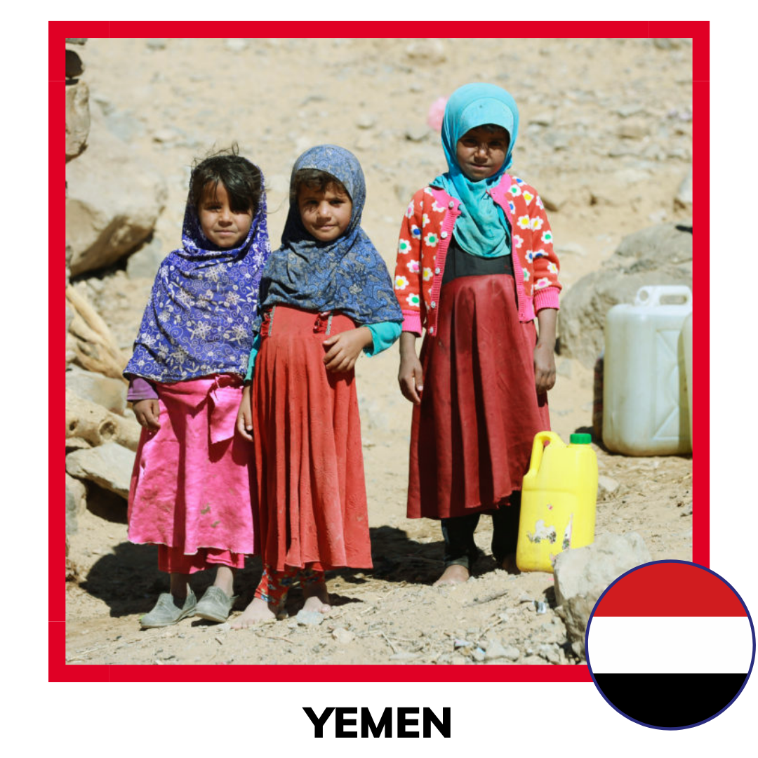 Qurban Yemen Sheep | Korban Kambing Yemen