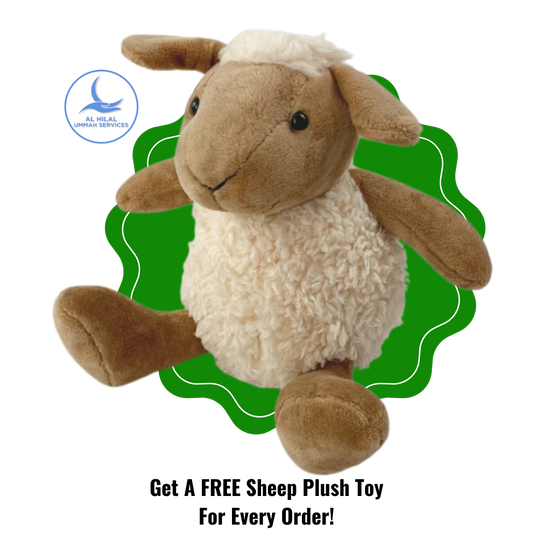 Aqiqah Cambodia Sheep and Goat | Akikah Kambing Cambodia