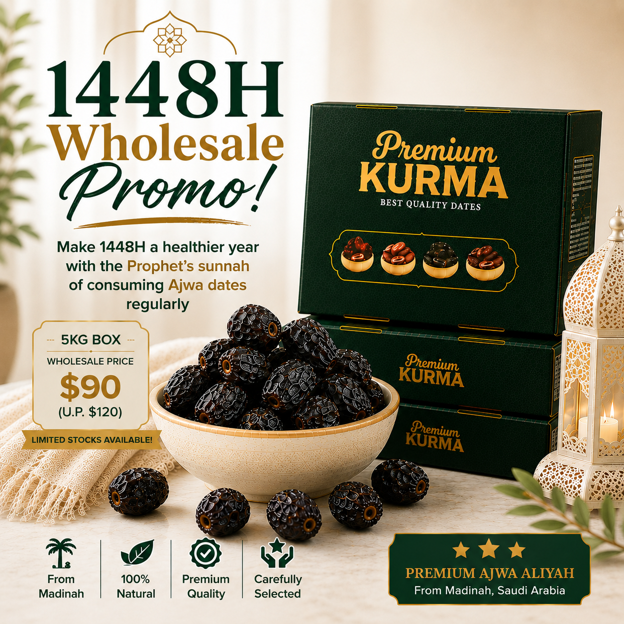 Ajwa Aliyah Al Madinah Dates 5kg – Wholesale Promotion